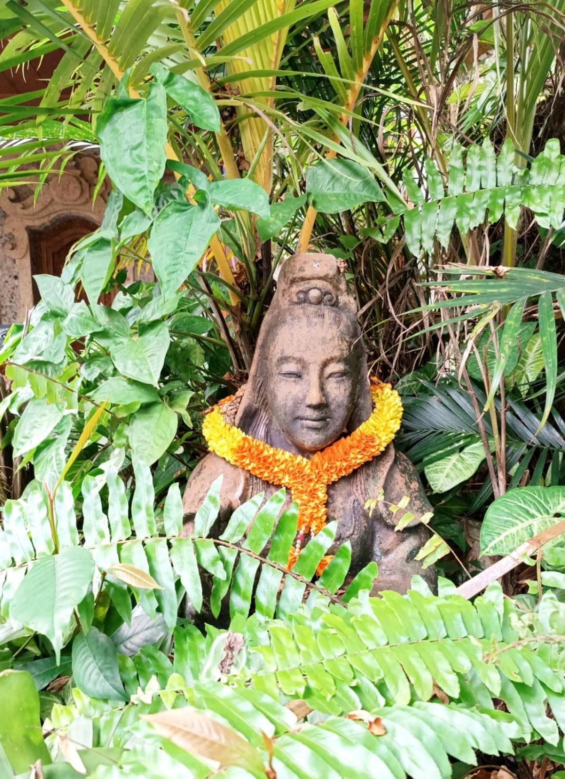 Mandala Blu Wellness Hotel Ubud Buitenkant foto