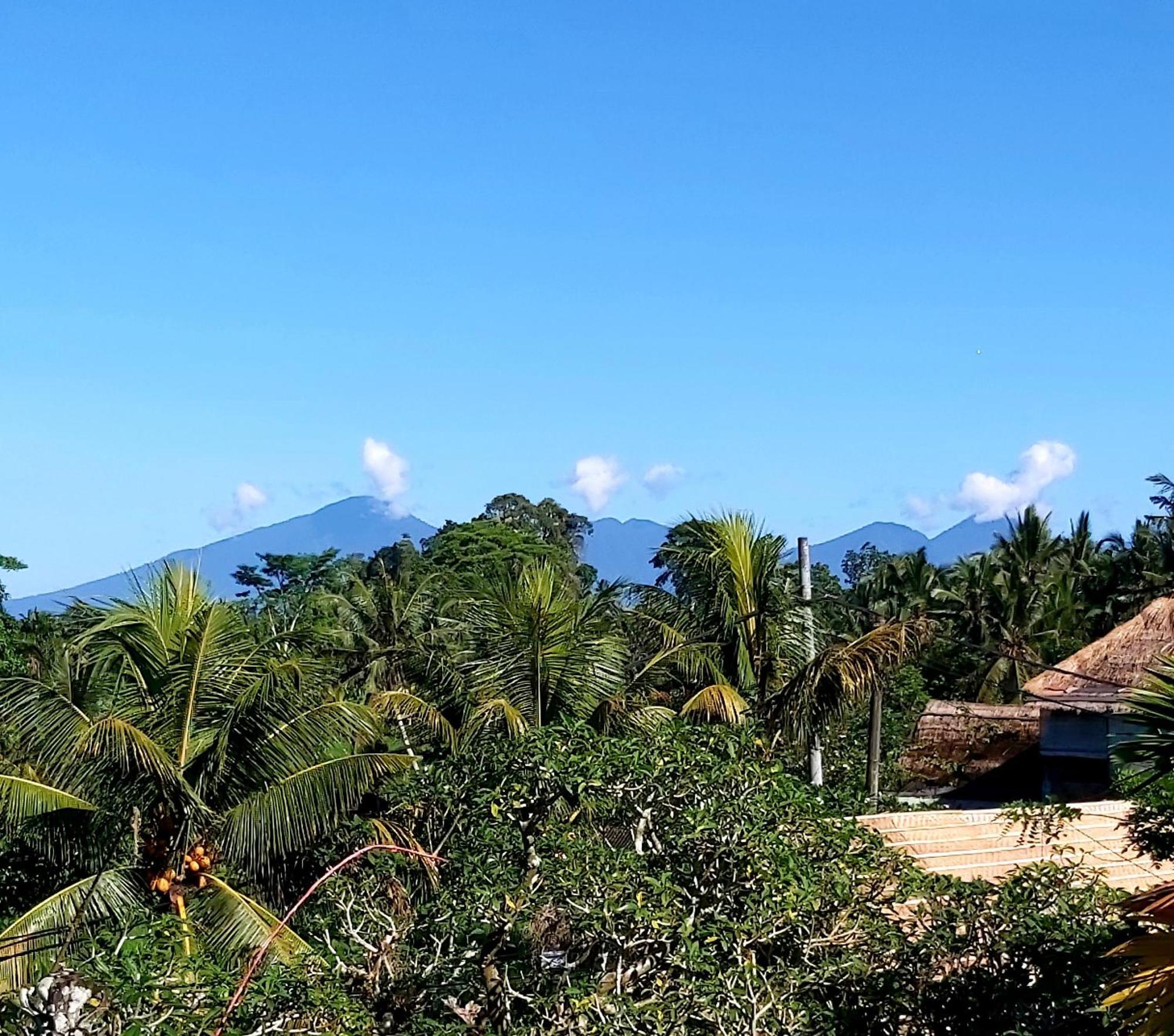 Mandala Blu Wellness Hotel Ubud Buitenkant foto